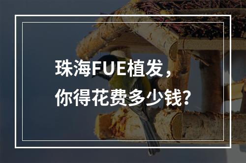 珠海FUE植发，你得花费多少钱？