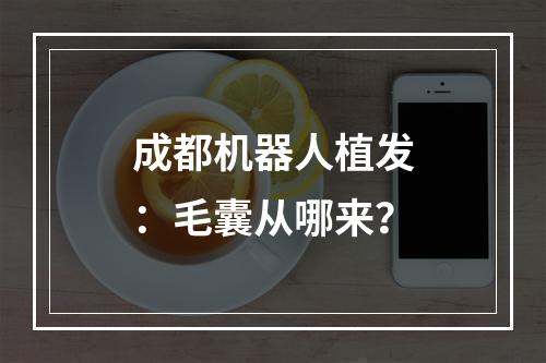 成都机器人植发：毛囊从哪来？