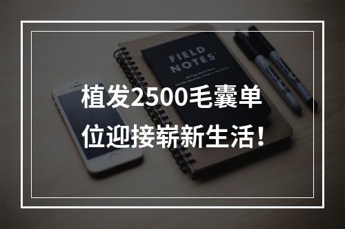 植发2500毛囊单位迎接崭新生活！