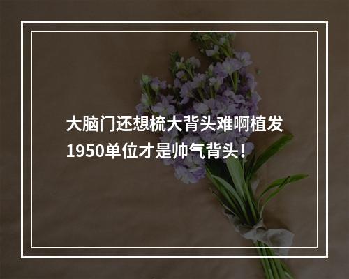 大脑门还想梳大背头难啊植发1950单位才是帅气背头！