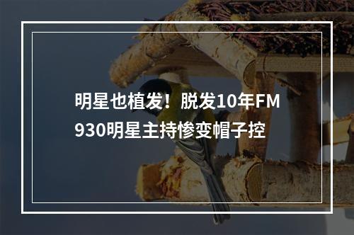 明星也植发！脱发10年FM930明星主持惨变帽子控