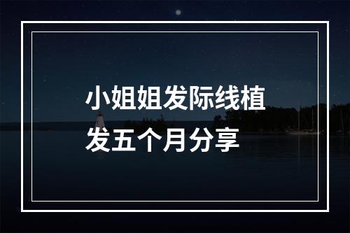 小姐姐发际线植发五个月分享