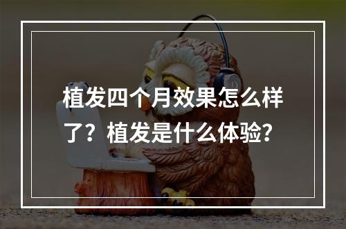 植发四个月效果怎么样了？植发是什么体验？