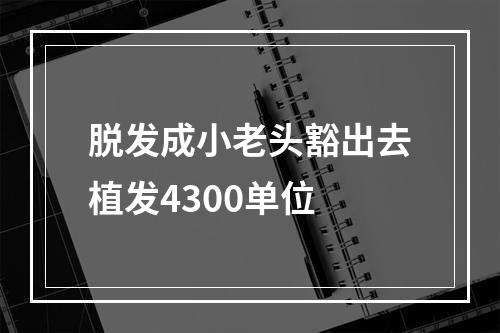 脱发成小老头豁出去植发4300单位