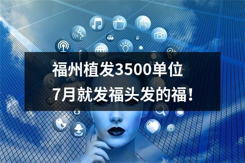 福州植发3500单位7月就发福头发的福！