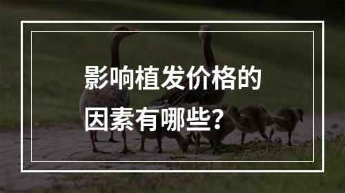 影响植发价格的因素有哪些？