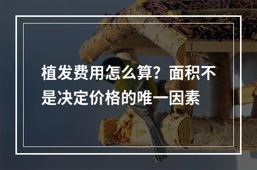 植发费用怎么算？面积不是决定价格的唯一因素