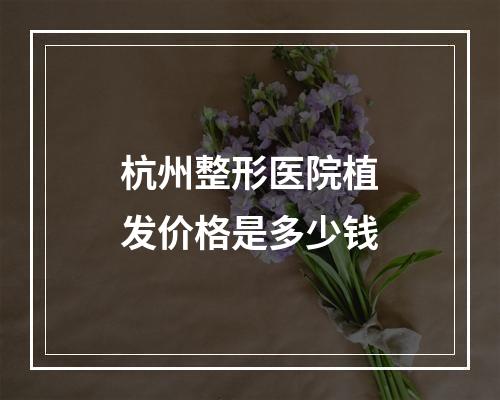 杭州整形医院植发价格是多少钱