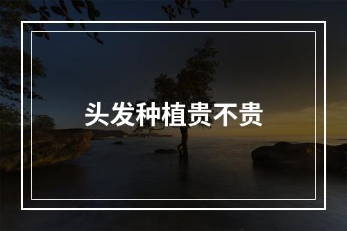 头发种植贵不贵