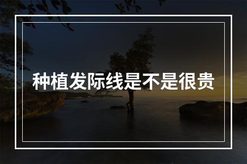 种植发际线是不是很贵