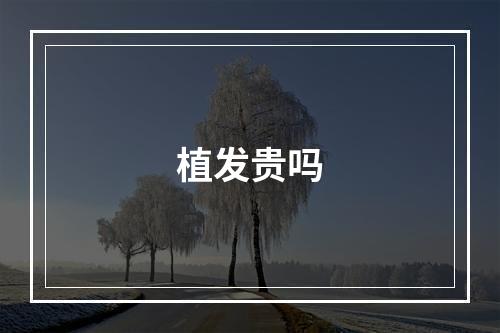 植发贵吗