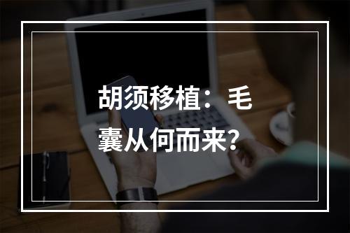 胡须移植：毛囊从何而来？