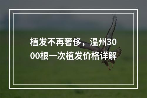 植发不再奢侈，温州3000根一次植发价格详解