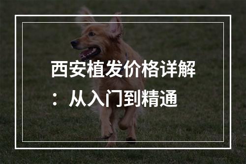 西安植发价格详解：从入门到精通