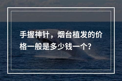 手握神针，烟台植发的价格一般是多少钱一个？