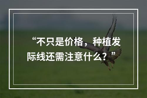 “不只是价格，种植发际线还需注意什么？”