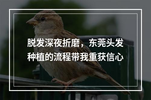 脱发深夜折磨，东莞头发种植的流程带我重获信心