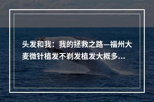 头发和我：我的拯救之路—福州大麦微针植发不剃发植发大概多少钱