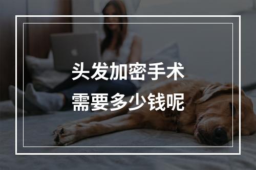 头发加密手术需要多少钱呢