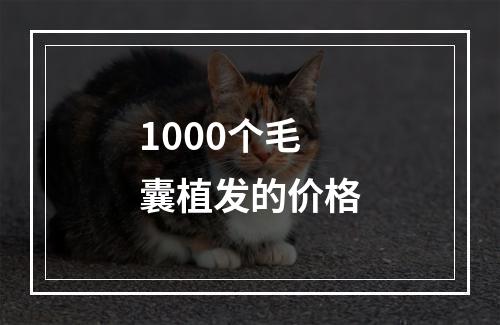 1000个毛囊植发的价格