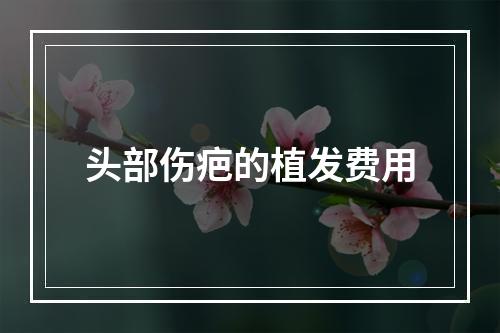 头部伤疤的植发费用