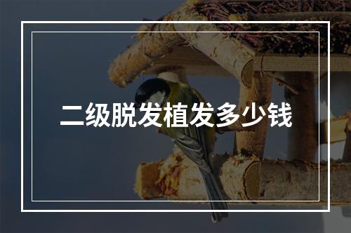 二级脱发植发多少钱