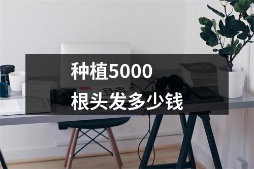 种植5000根头发多少钱