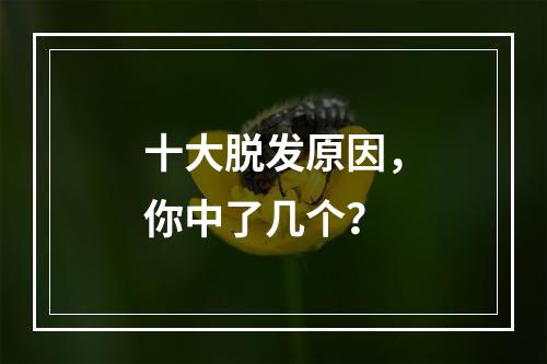 十大脱发原因，你中了几个？