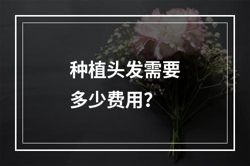 种植头发需要多少费用？