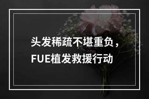 头发稀疏不堪重负，FUE植发救援行动