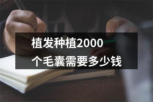 植发种植2000个毛囊需要多少钱