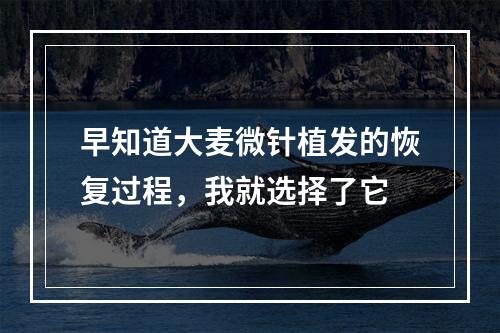 早知道大麦微针植发的恢复过程，我就选择了它