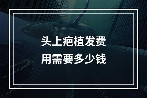 头上疤植发费用需要多少钱