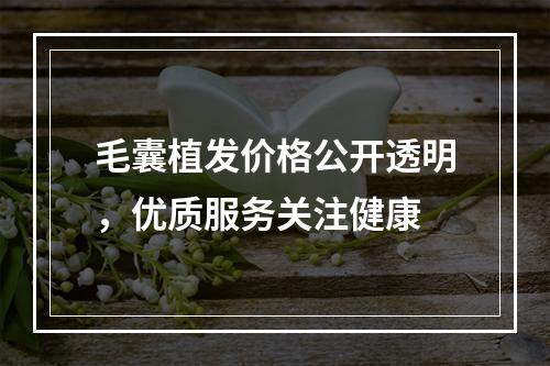 毛囊植发价格公开透明，优质服务关注健康