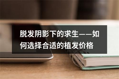 脱发阴影下的求生——如何选择合适的植发价格