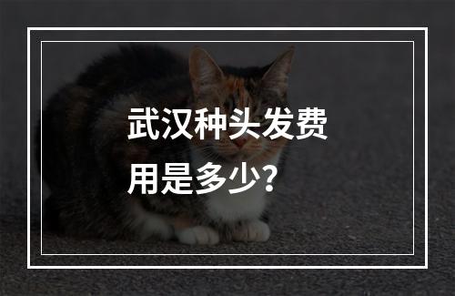 武汉种头发费用是多少？