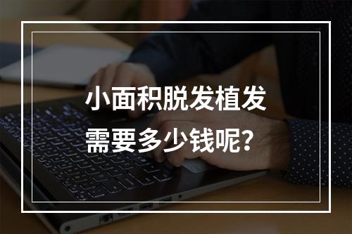 小面积脱发植发需要多少钱呢？