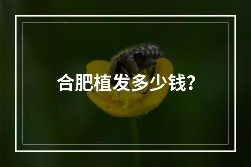 合肥植发多少钱？