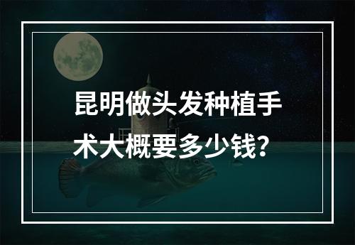 昆明做头发种植手术大概要多少钱？