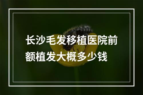 长沙毛发移植医院前额植发大概多少钱