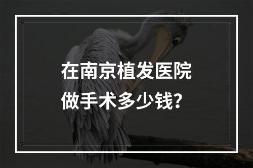 在南京植发医院做手术多少钱？