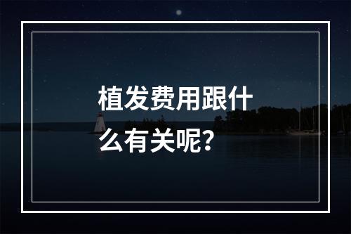 植发费用跟什么有关呢？