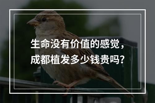 生命没有价值的感觉，成都植发多少钱贵吗？