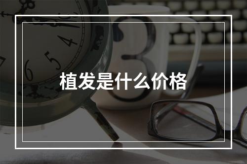 植发是什么价格