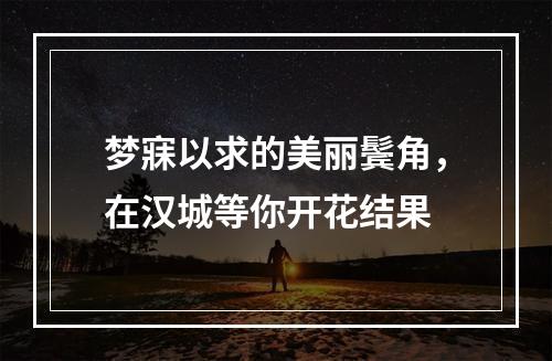 梦寐以求的美丽鬓角，在汉城等你开花结果