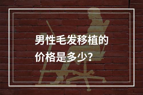 男性毛发移植的价格是多少？