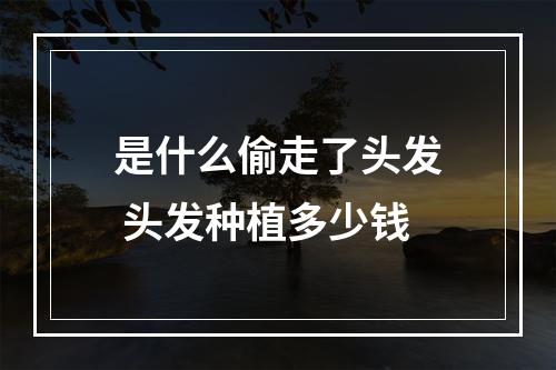 是什么偷走了头发 头发种植多少钱