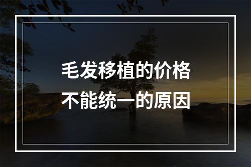 毛发移植的价格不能统一的原因