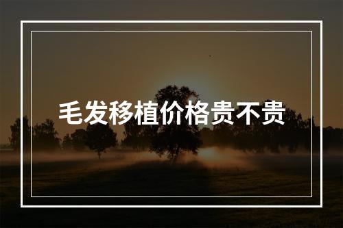 毛发移植价格贵不贵