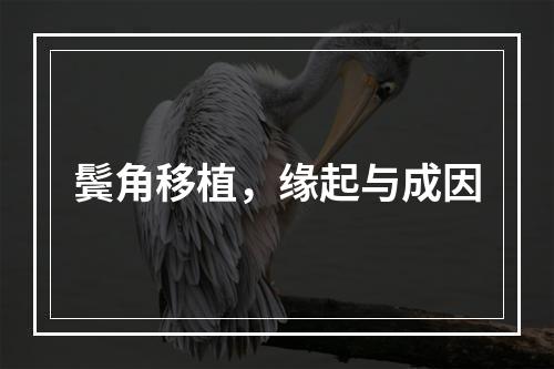 鬓角移植，缘起与成因